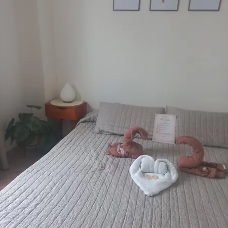 Apartment Le Roosvelt *