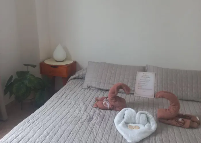 Apartment Le Roosvelt *